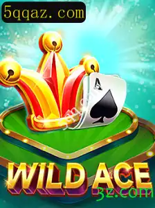 Explorando o Mundo de WildAce